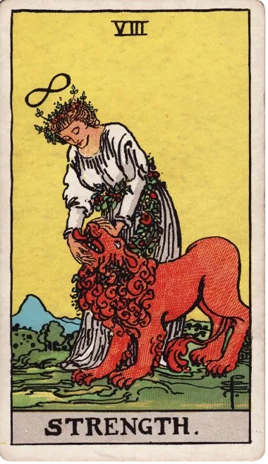 strength tarot card