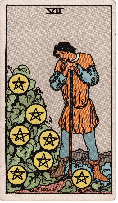 Seven of Pentacles Upright