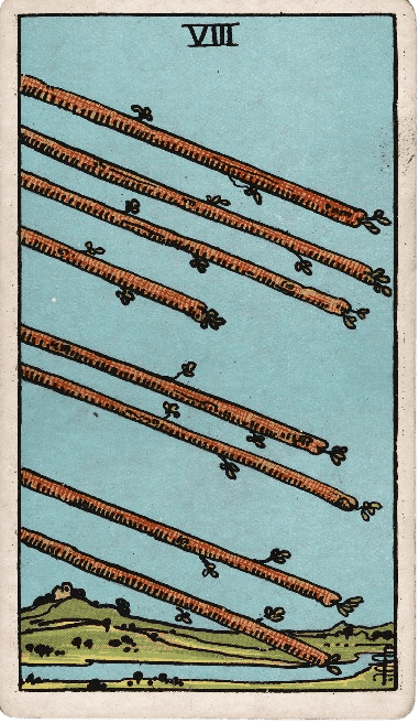Eight of Wands Upright