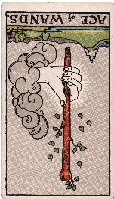 Ace of Wands Reversed Meaning