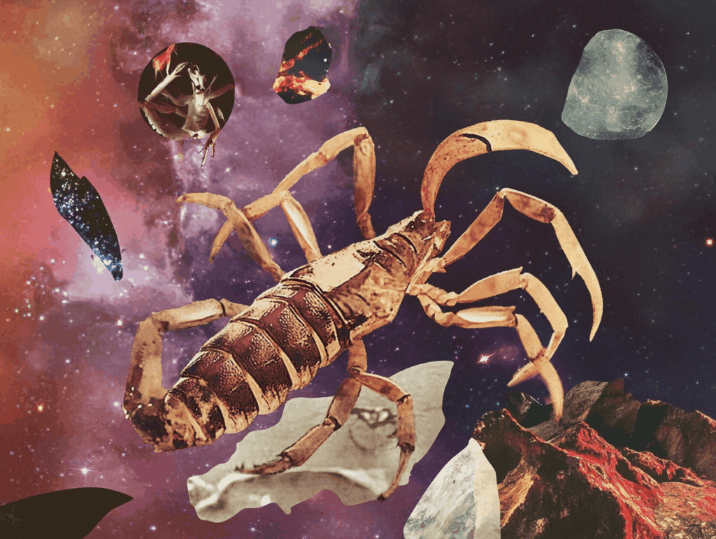 scorpio season 2026 surrealist collage