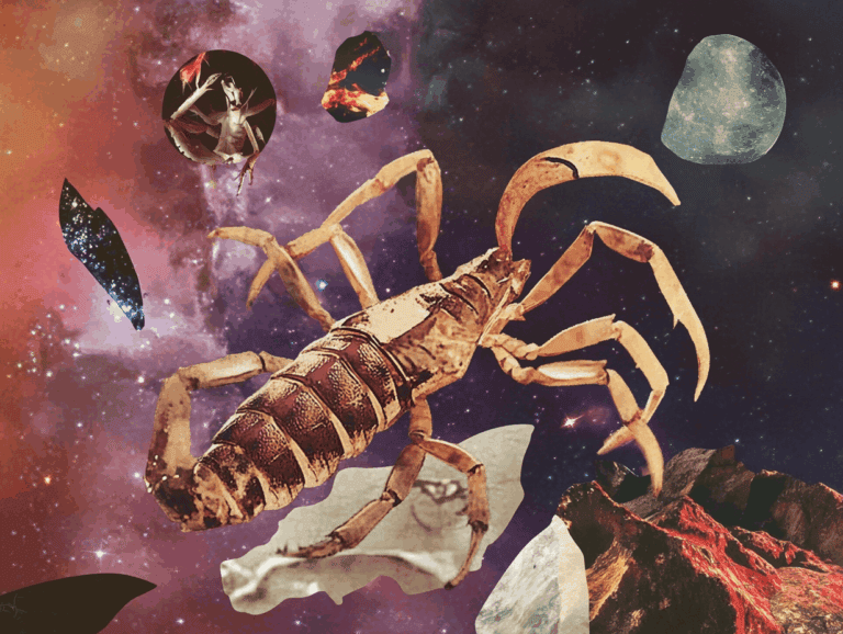 scorpio season 2026 surrealist collage